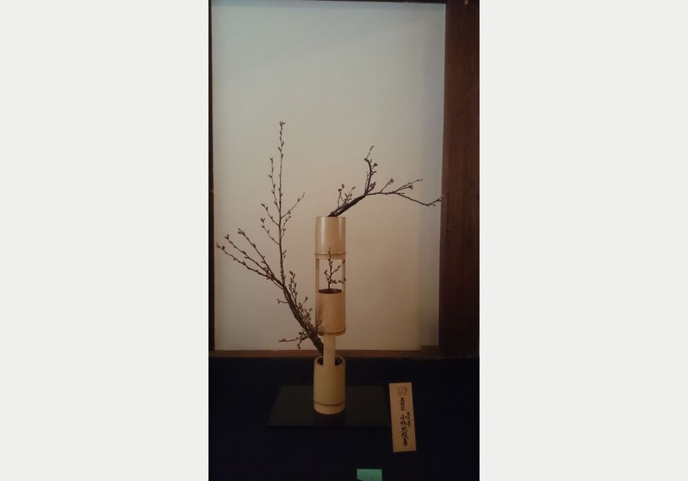 sDSC_1058