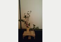 sDSC_1060